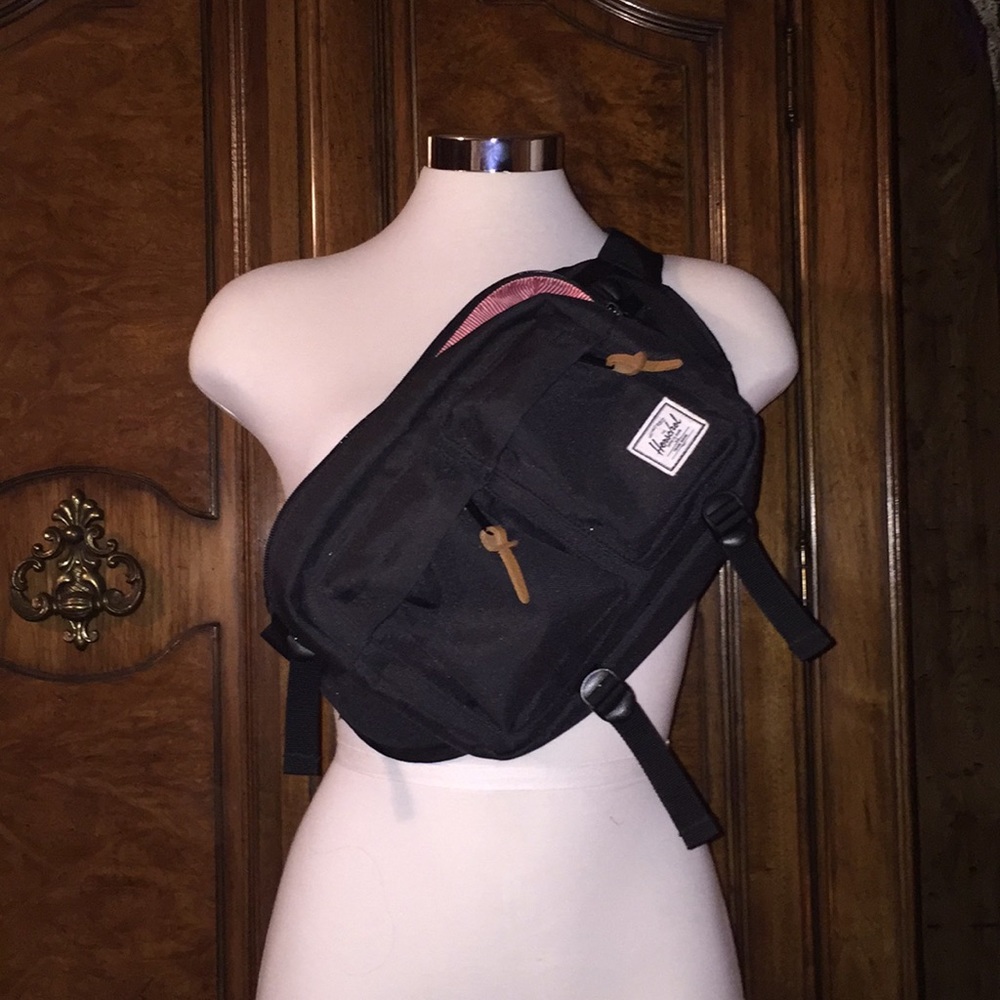 Hershel Hip-Pack